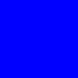 Blue Team